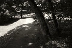 明日香村 豊浦 （ 甘樫丘 ）