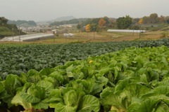 明日香村 大字平田 明日香村 大字平田