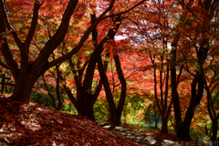 明日香村　大字平田　中尾山古墳