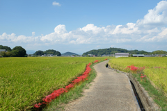 明日香村　大字飛鳥