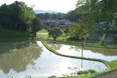 橿原市　鳥屋町