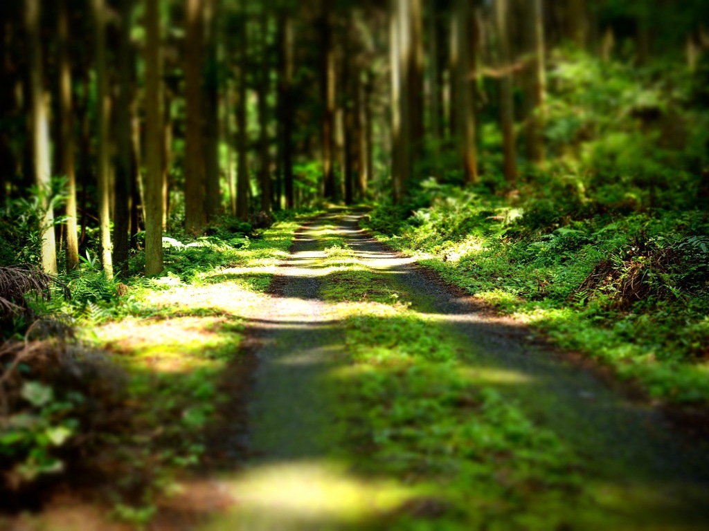 明日香村 栢森（ かやのもり ）