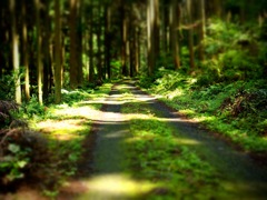 明日香村 栢森（ かやのもり ）