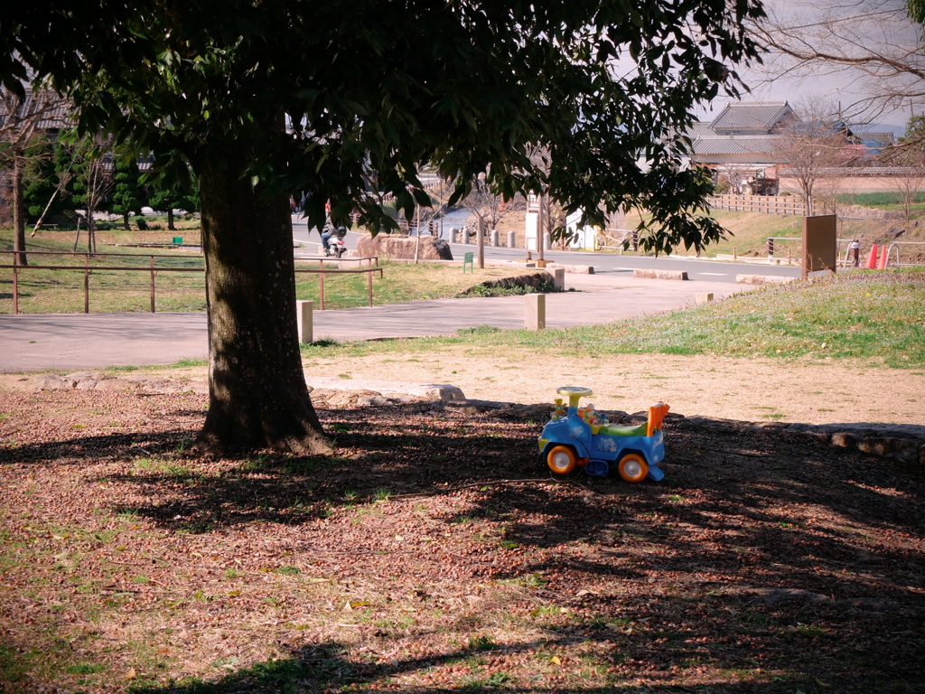 明日香村 豊浦 （ 甘樫丘 ）
