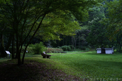 橿原市　南浦町（ 万葉の森 ）