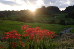 明日香村　大字稲渕