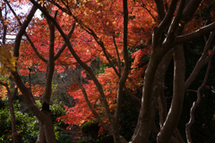 奈良県御所市　九品寺