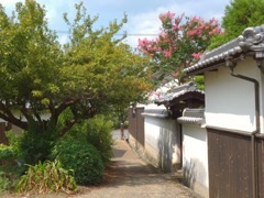 明日香村 豊浦 （ 甘樫丘付近 ）