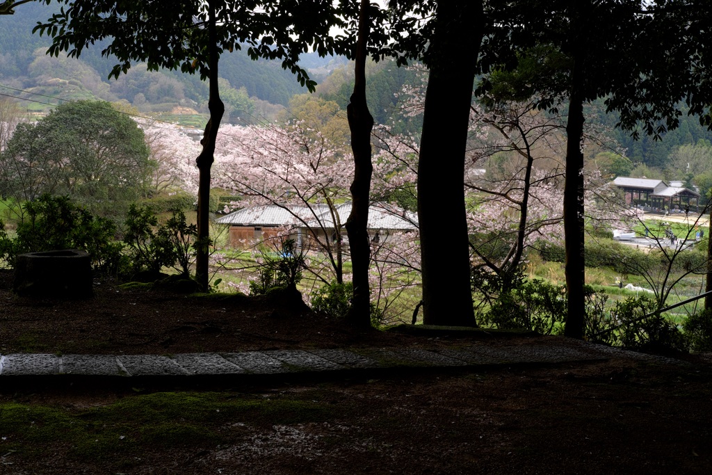 明日香村　大字島庄