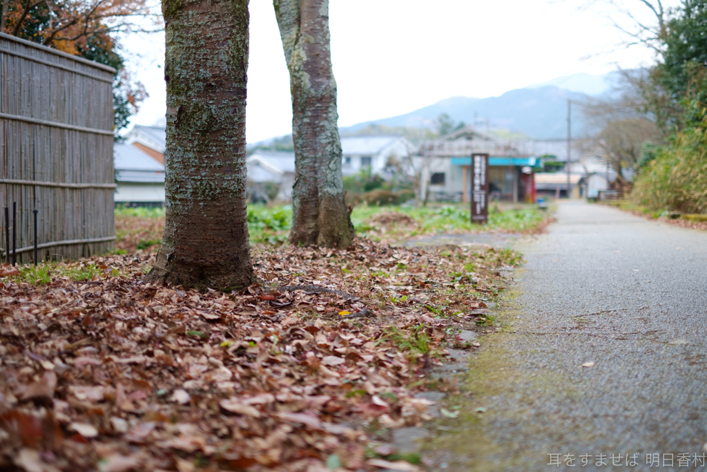 明日香村　大字豊浦