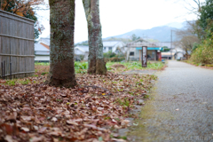 明日香村　大字豊浦