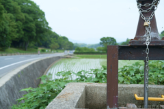 明日香村　大字川原