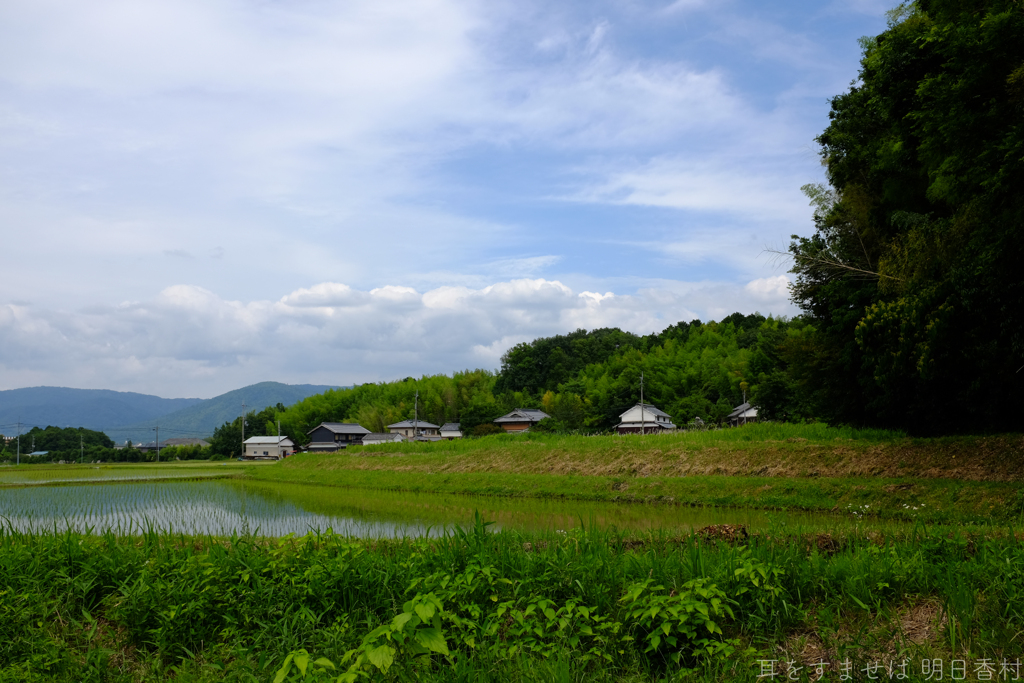 橿原市　天香久山（ あまのかぐやま ）付近