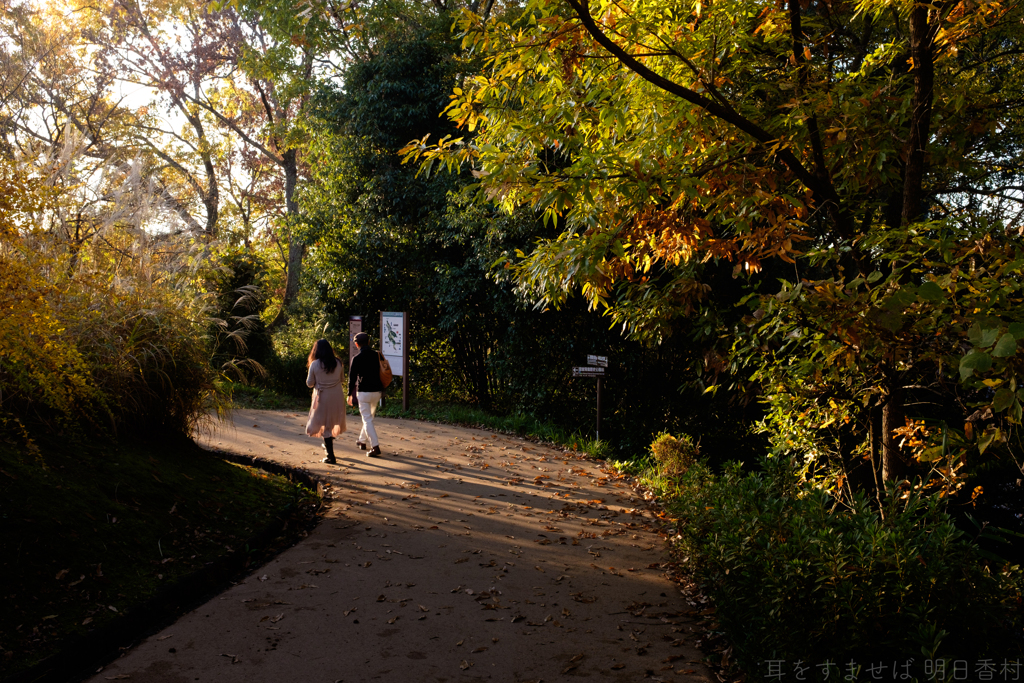 明日香村　大字平田（ 国営飛鳥歴史公園　高松塚周辺地区 ）