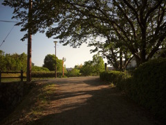 明日香村 御園