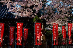 明日香村　大字岡