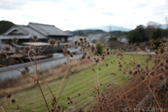 明日香村 大字平田 明日香村 大字平田