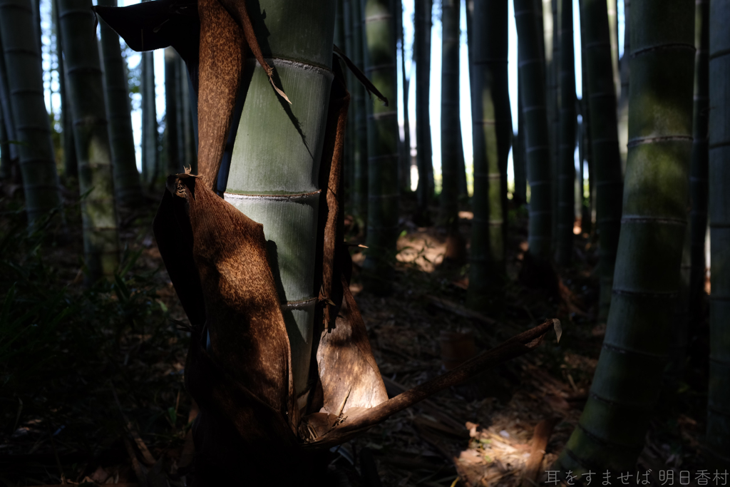 明日香村　大字御園