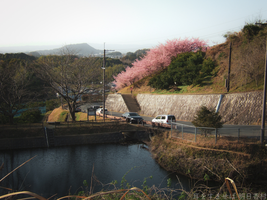 明日香村　大字立部