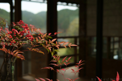 奈良県桜井市　聖林寺