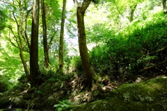 明日香村 大字稲渕 明日香村 大字稲渕