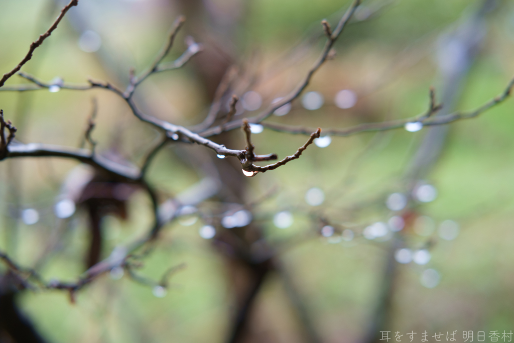 明日香村　大字平田