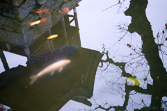 明日香村　大字豊浦