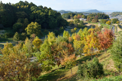 明日香村　大字檜前