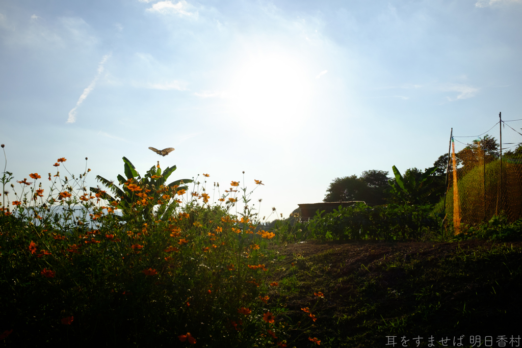 明日香村　大字野口