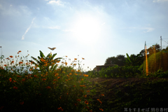 明日香村 大字野口 明日香村 大字野口