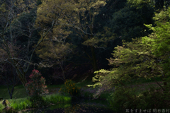 明日香村　大字豊浦（ 国営飛鳥歴史公園甘樫丘地区 ）