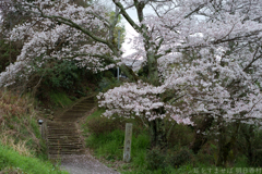 明日香村　大字豊浦