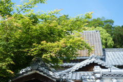 大阪府太子町（ 竹内街道 ）