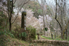 奈良県橿原市　万葉の森