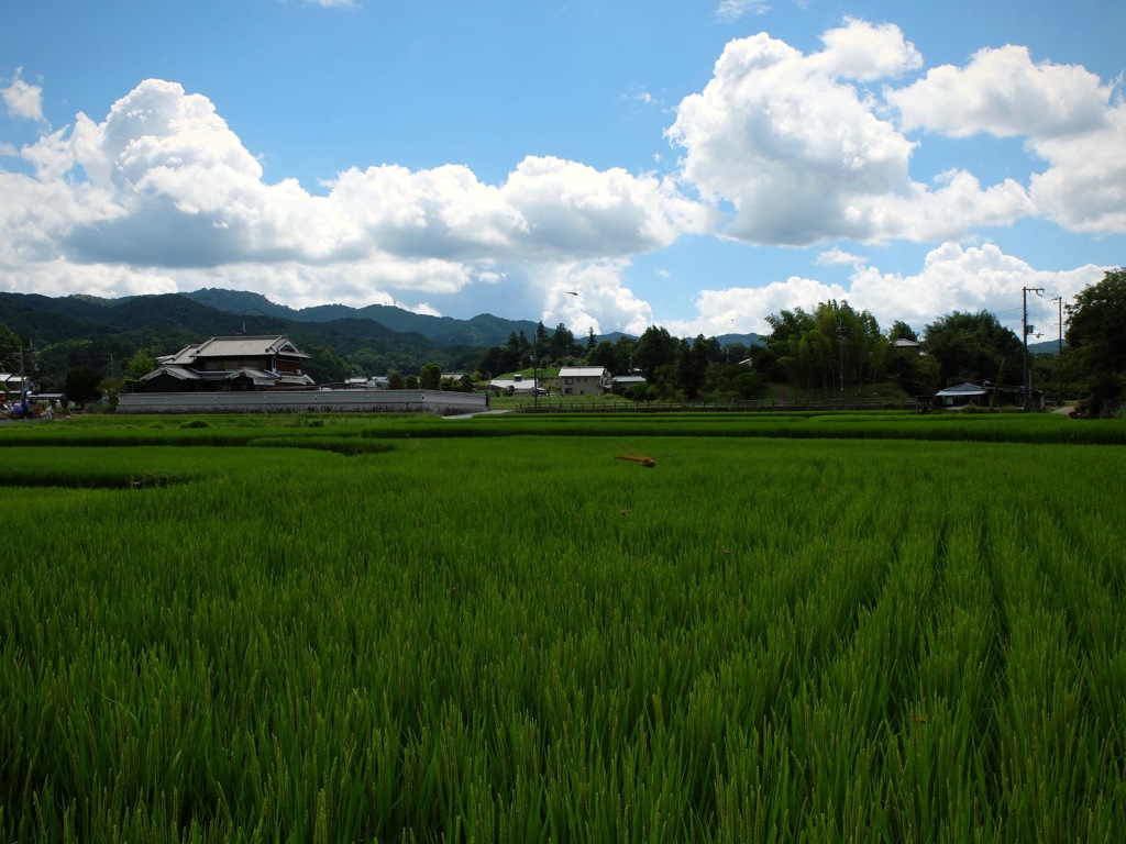 明日香村　大字御園