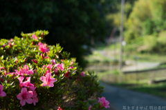 明日香村　大字上居