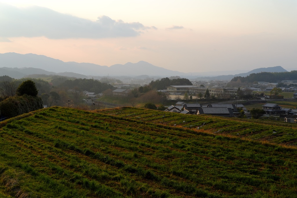 明日香村　大字立部