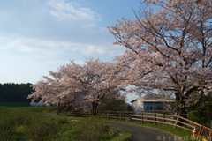 明日香村　大字川原
