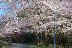 橿原市　畝火山口神社