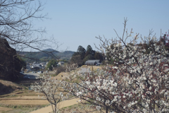 明日香村　大字阿部山（ 国営飛鳥歴史公園 キトラ古墳周辺地区 ）