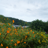 明日香村　大字立部