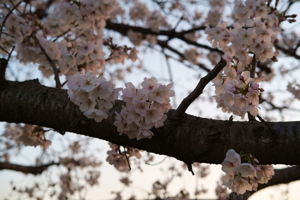 奈良県橿原市醍醐町