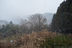 明日香村　大字祝戸