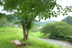 明日香村　大字上居