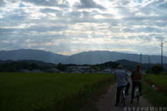 明日香村　大字橘