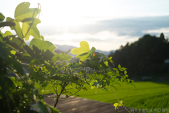 明日香村 大字上居 明日香村 大字上居
