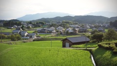 明日香村 平田 （ 国営飛鳥歴史公園 高松塚地区 ）