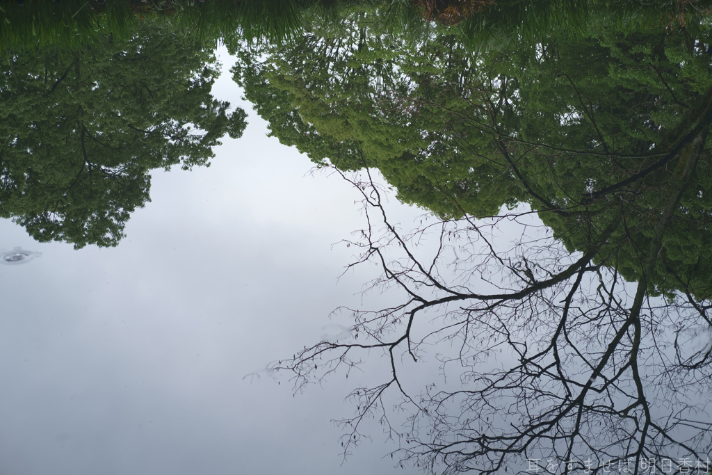 明日香村　大字川原（ 国営飛鳥歴史公園　甘樫丘地区 ）