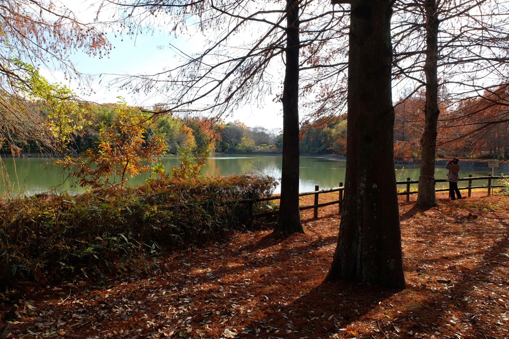 奈良県北葛城郡河合町、広陵町　馬見丘陵公園
