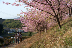 明日香村　大字立部